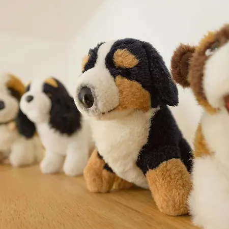 Appartement Casa Della By Premium