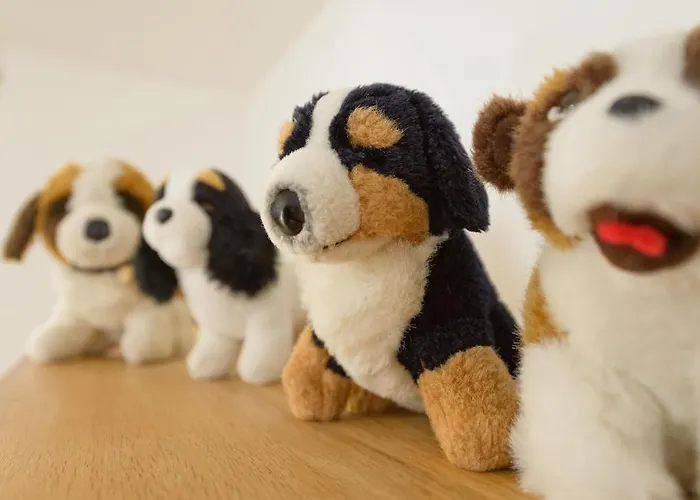 Appartamento Casa Della By Premium